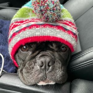 Meet your Posher, Ben